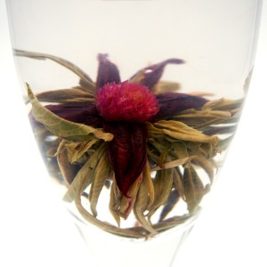 Hibiscus and Lavender 2 Flower Pods Hibiscus and Lavender 2 Flower Pods